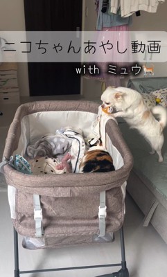 赤ちゃんが泣いた時のニコちゃん