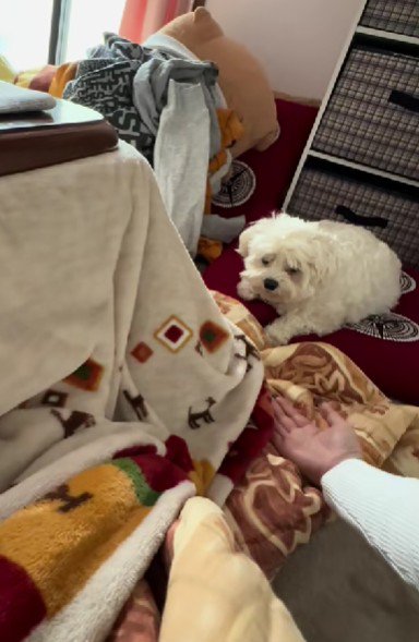 おやつを持っていると思ったら…