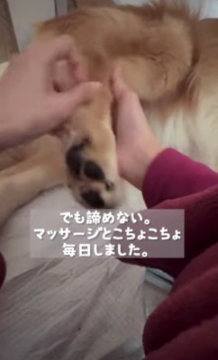 こちょこちょで刺激を促す