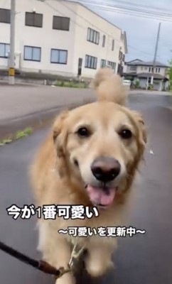 「可愛い」を更新中