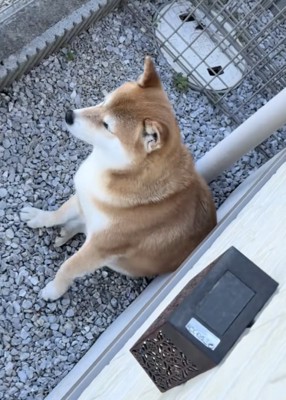 「なんか落ちてるのよ」