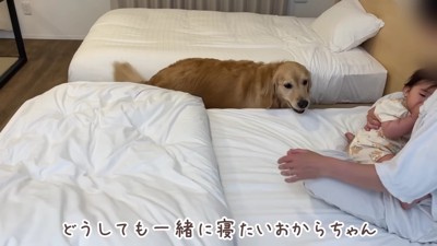 一緒に眠りたい…♡