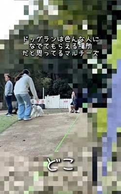 飼い主さんを見つけたおもちくん