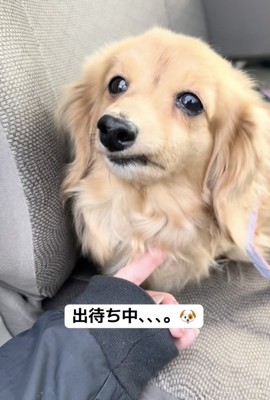 「まだ出てこないの?」