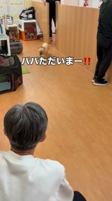 ドアから勢いよく出る犬