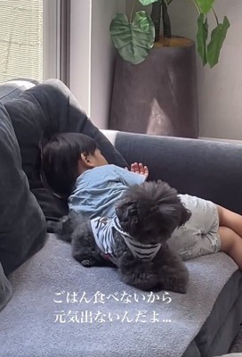 ずっと寄り添うアイナちゃん