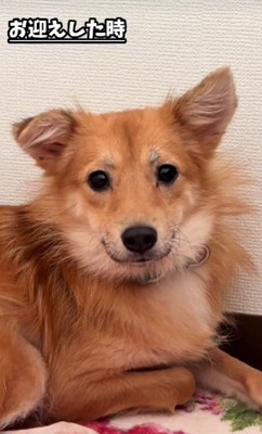 緊張の面持ち…