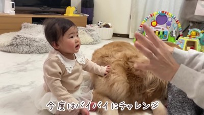 バイバイにチャレンジ!!