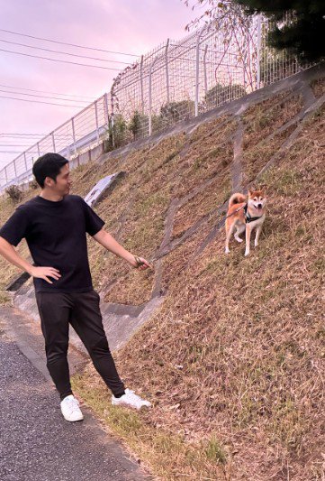 車を怖がるいそべ君2