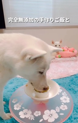 愛情のこもった無添加のご飯でサポート