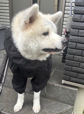 「本当に行くの…？」