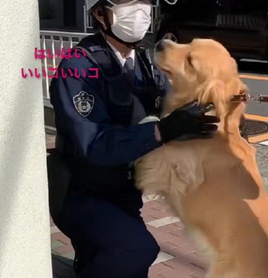 なでなでもしてもらったよ♡