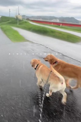 これからも幸せでいてね