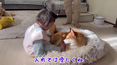 どうしても入りたい