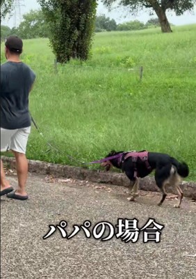 お父さんがリードを引くと…