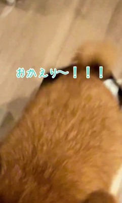 大急ぎで玄関へ