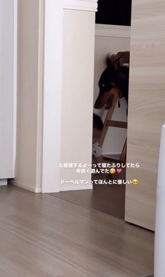 赤ちゃんと遊ぶリーベちゃん5