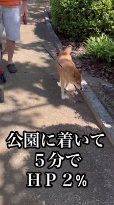 「もう疲れた」とトボトボ…