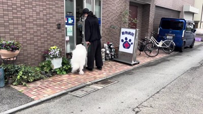 ドレミちゃんを連れて入口へ