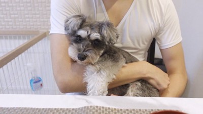 ティノちゃんとパパさんの再会⑩