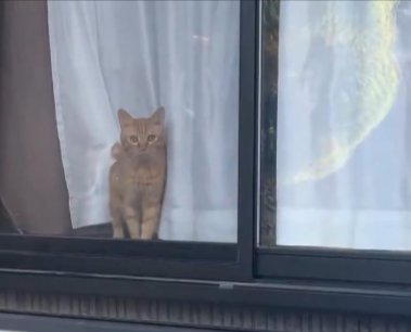 冷静