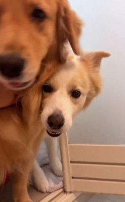 ママの入浴中は…