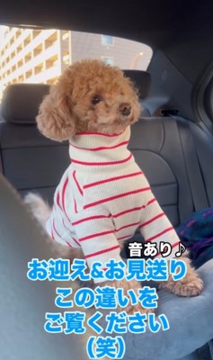 ノアくんのお迎え&お見送り