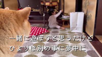 ひよりちゃんは一人遊びに夢中…