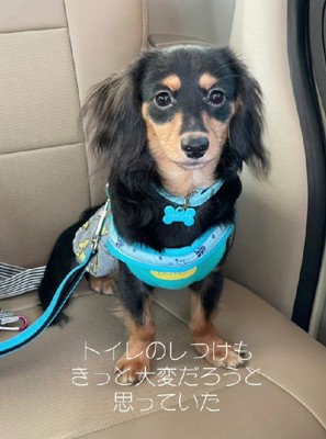 トイレもできないかも?