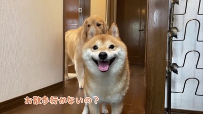 勘違いで玄関集結！！