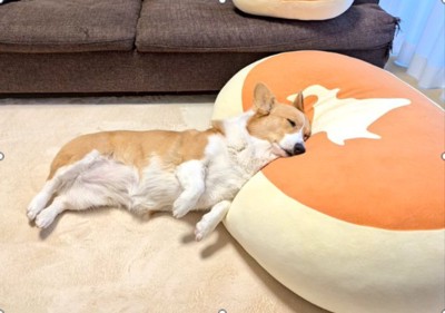 チーズ蒸しパン