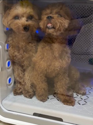 面白すぎるツーショット♪