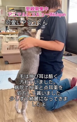 立ち上がって甘えるアシュくん