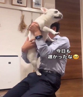 よじ登る犬