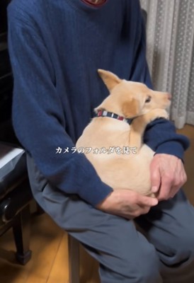 抱っこしてもらう犬2