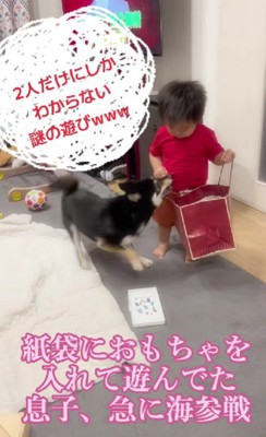 紙袋におもちゃを入れていたら…