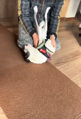 寝転がらせてナデナデ…