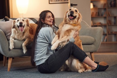 2匹の大型犬と遊ぶ女性