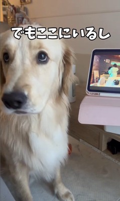 困惑する麹くん7