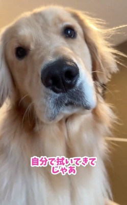 一生懸命考えるコロッケくん