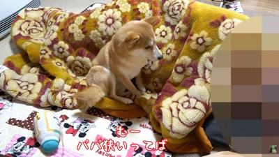「狭いよ!」と不満そうなお顔