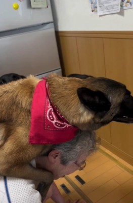 なかなか降りないウルルちゃん