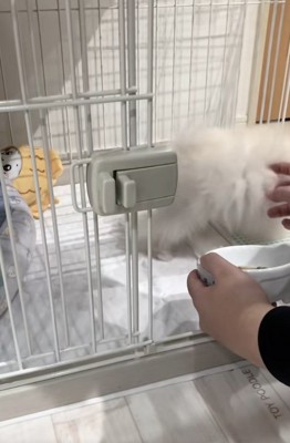 指でつつく飼い主さん