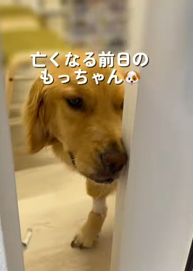 自分で扉を開けた
