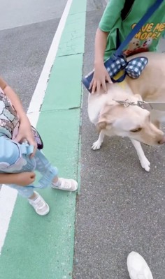 みんなでナデナデ