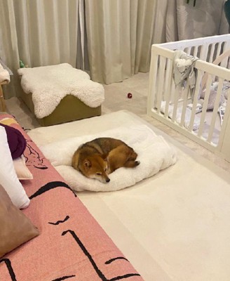 布団の上を独占！？