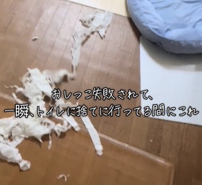 紙の残骸だけが残る部屋の一角