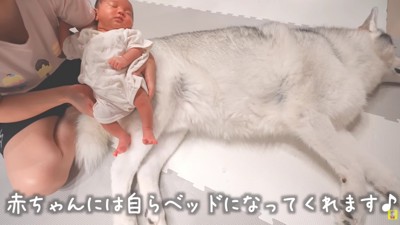 赤ちゃんなら全然平気だよ♡