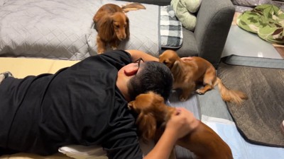「構って～」とアピール中