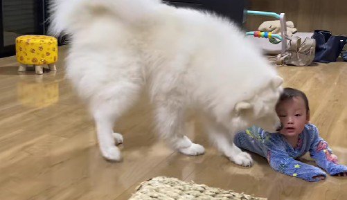 「大丈夫？」
